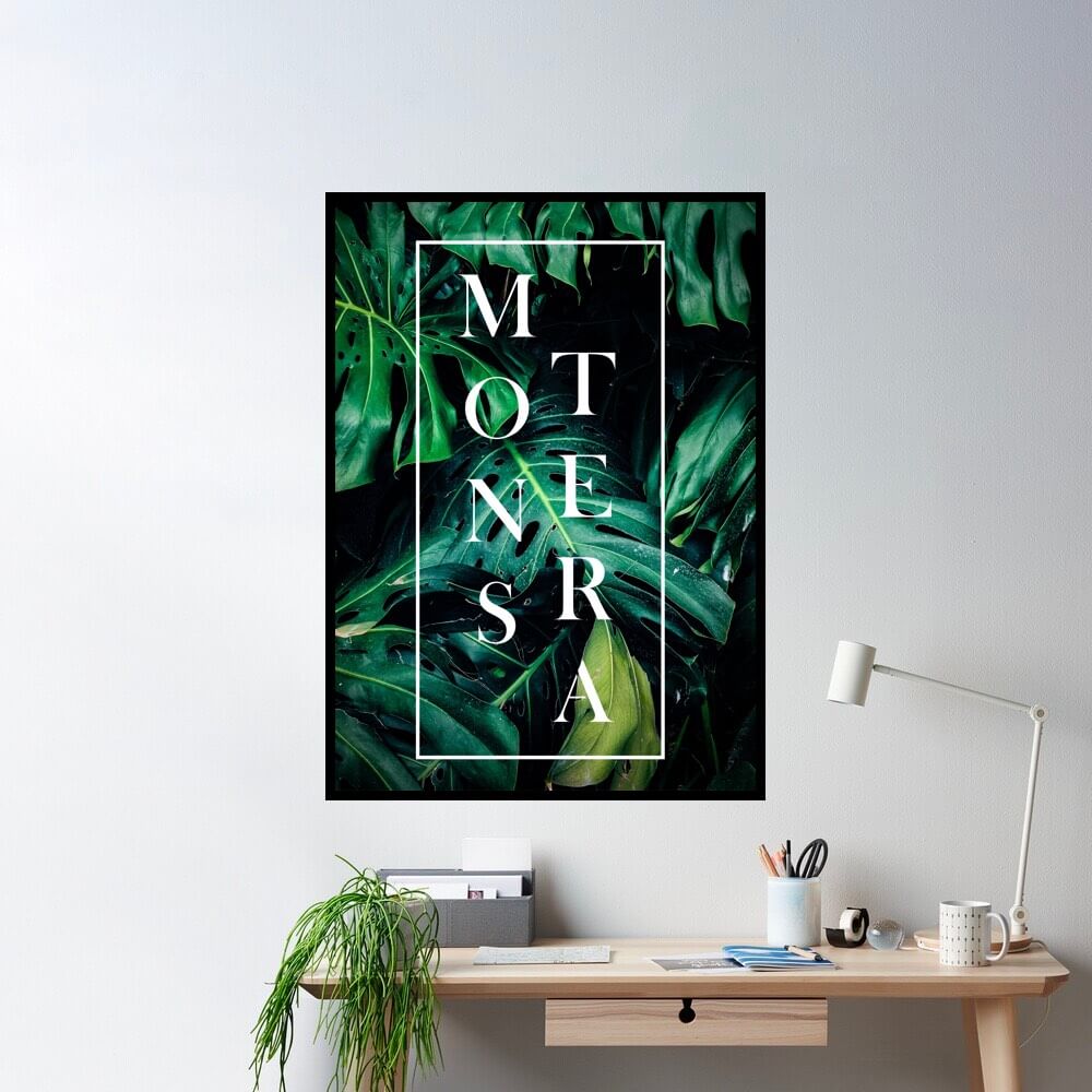 ins-monstera-text