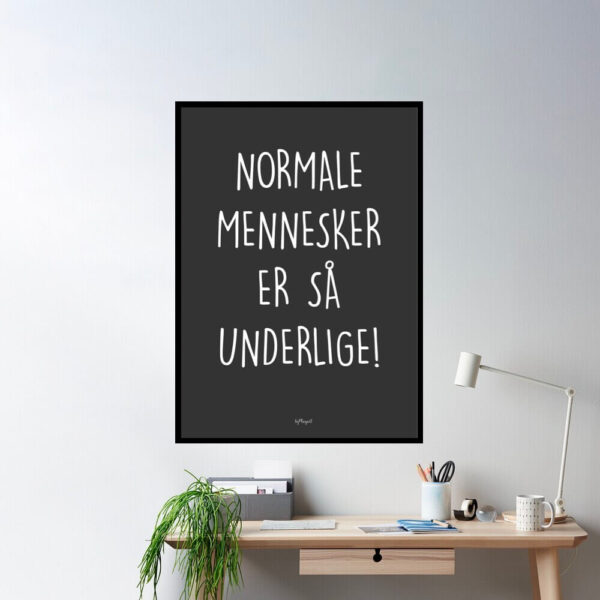ins-normale-mennesker